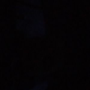 Meet your Posher, Trina